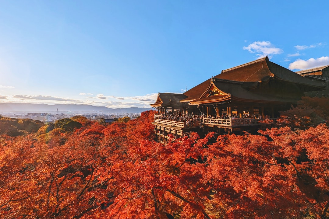 교토 단풍 2박3일 여행코스｜동산·아라시야마·야간관람 안 꼬이게 도는 법