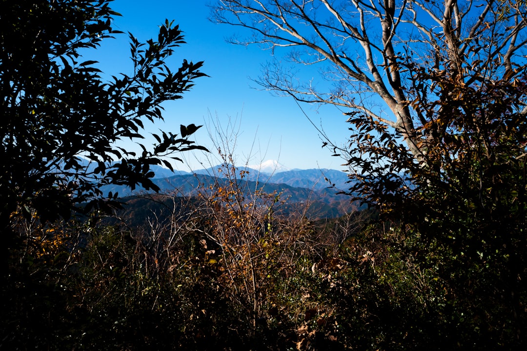 도쿄 다카오산 가을 산악 풍경
