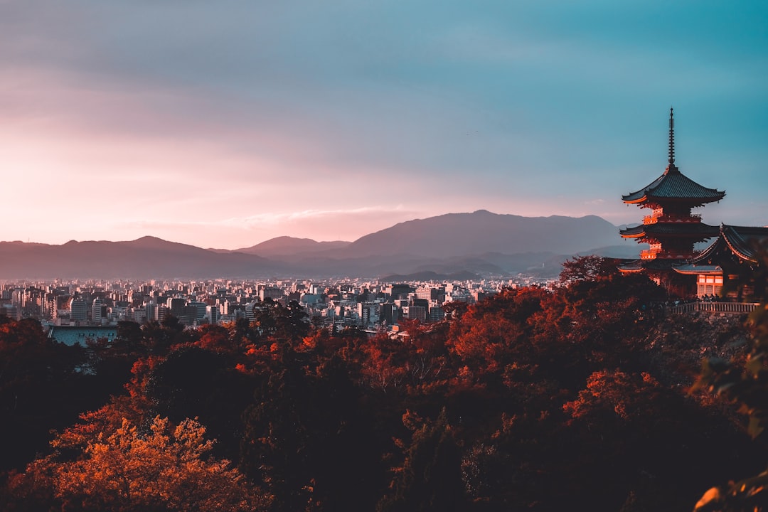 다카오산 야쿠오인 주변을 떠올리게 하는 가을 사찰 풍경
