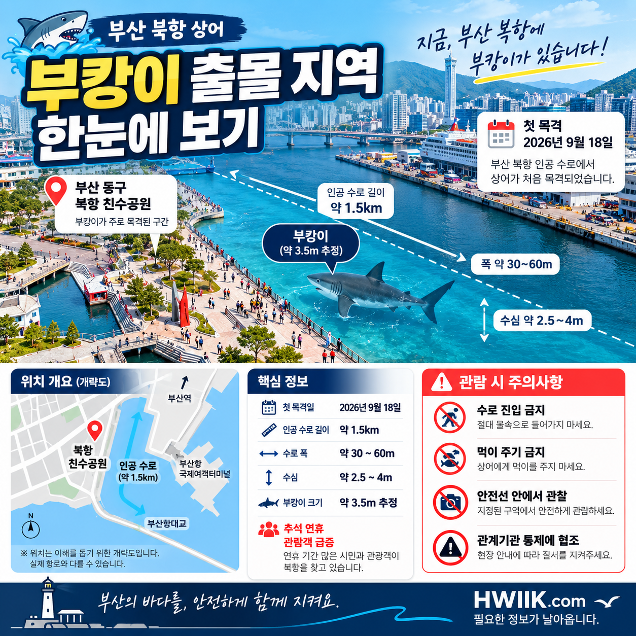 부산 북항 상어 부캉이 출몰 지역과 관람 주의사항을 정리한 인포그래픽