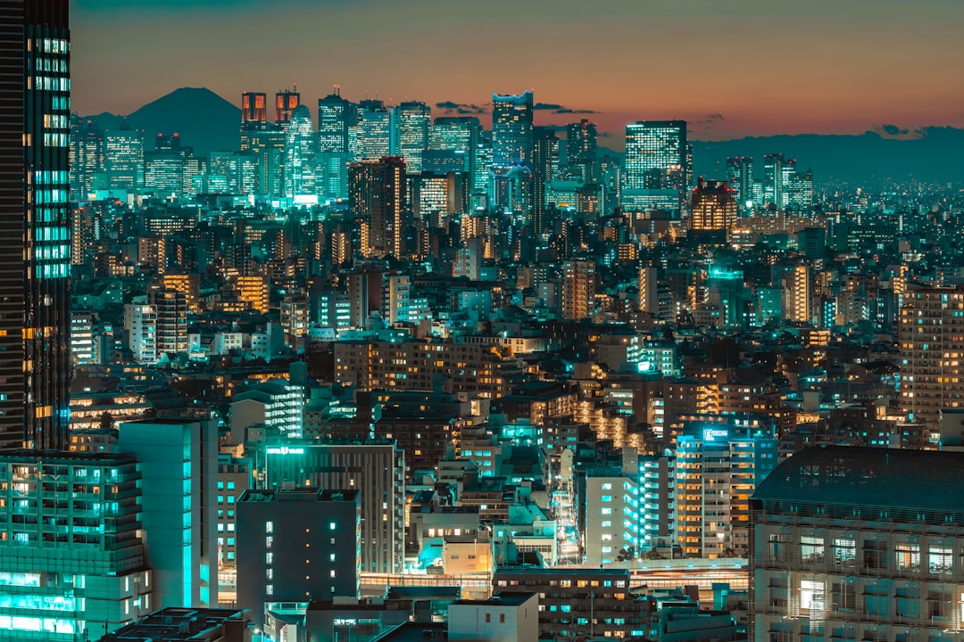 신주쿠에서 바라본 도쿄의 야간 도심 풍경